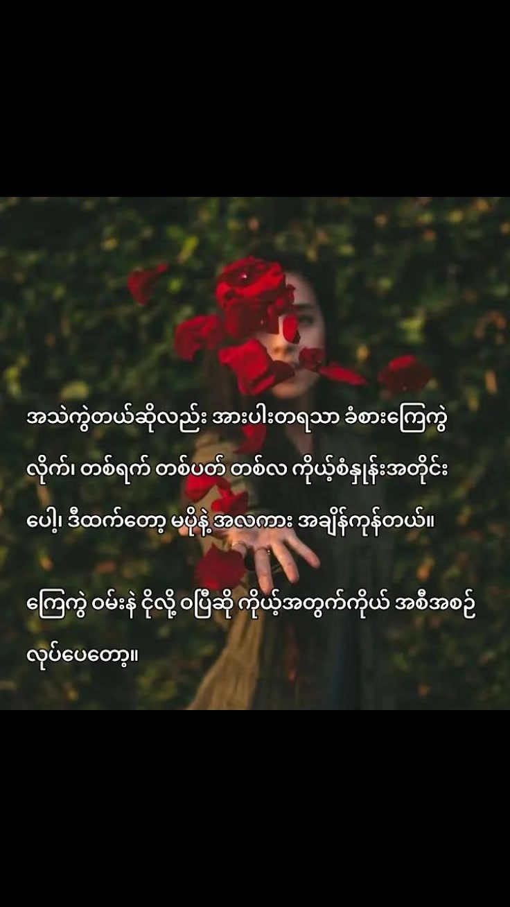 @Treasa.Jr