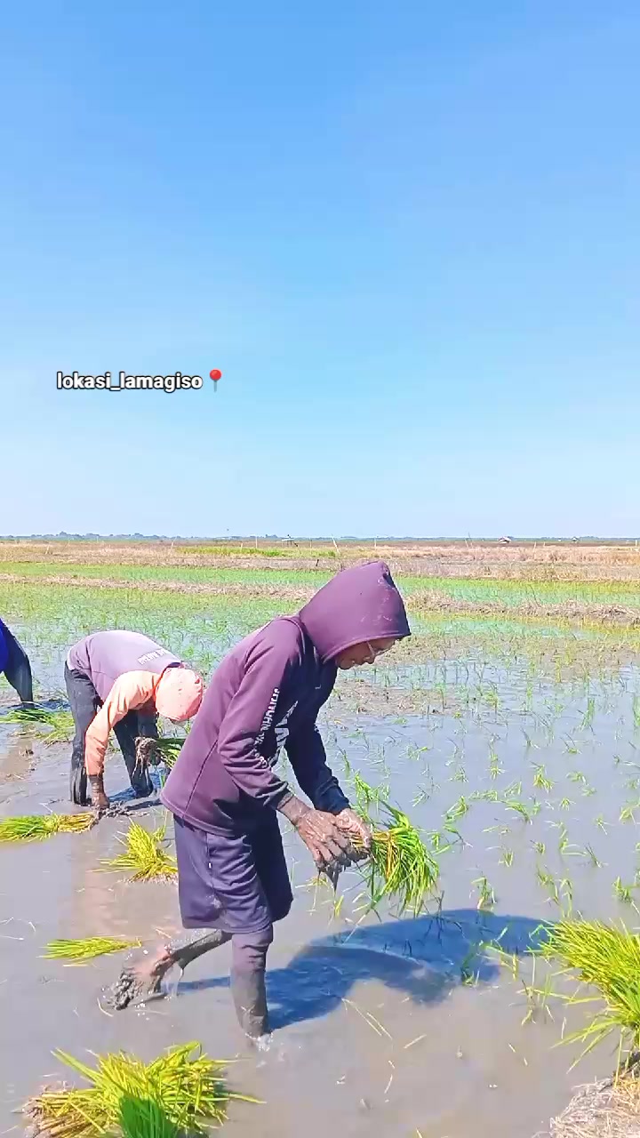 @Sudhy