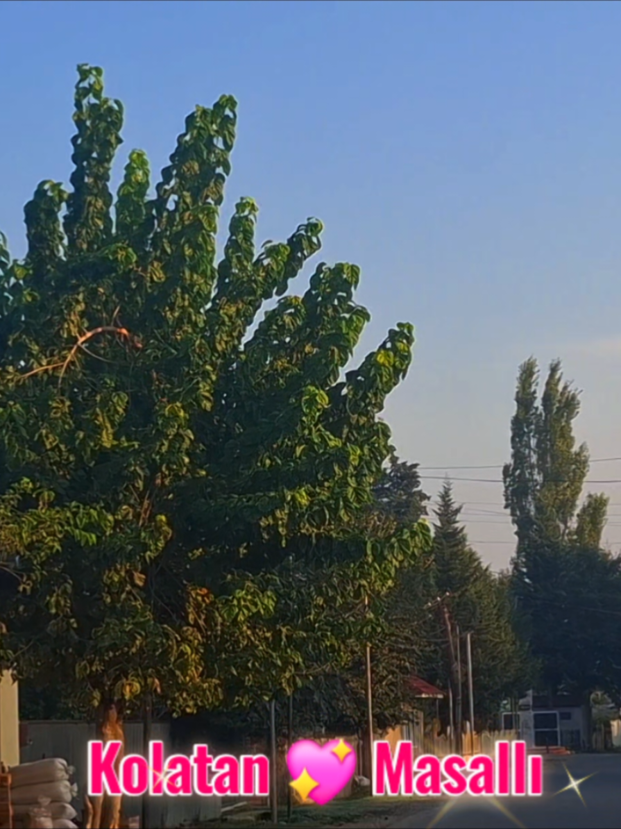 @𝑲𝑶𝑳𝑨𝑻𝑨𝑵🦅𝑴𝑨𝑺𝑨𝑳𝑳𝑰
