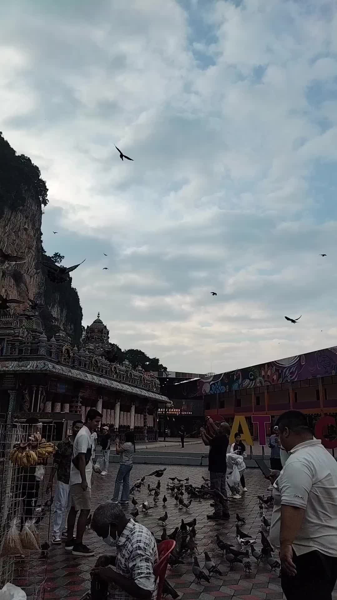 @Puva Akka