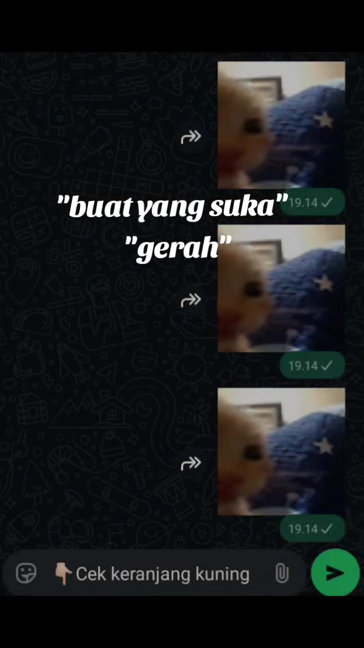 @aelanaaa