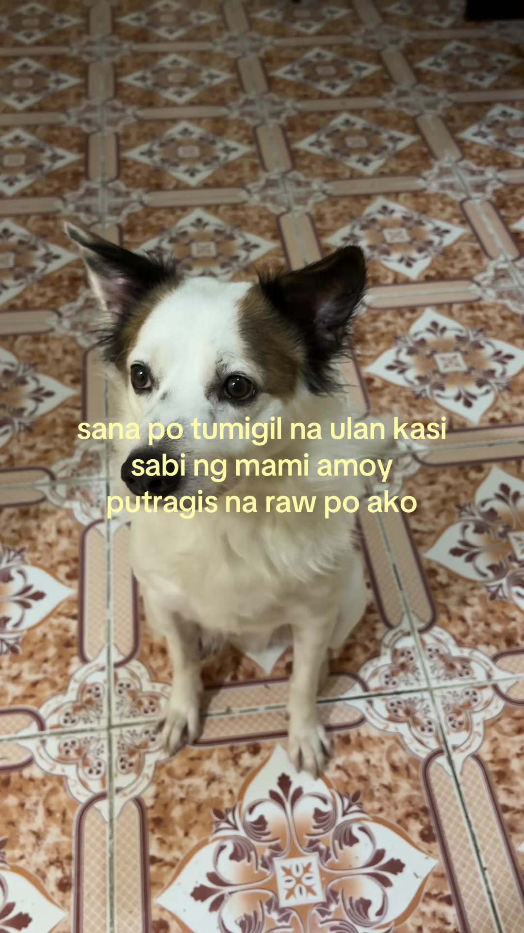 @Ilai