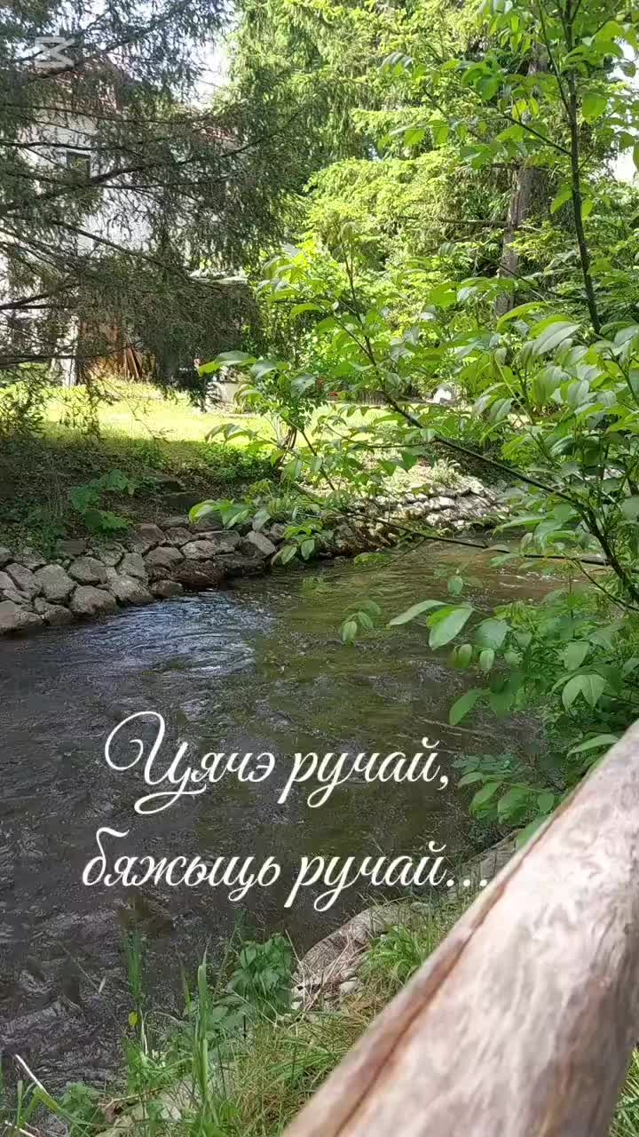 @Masha Orlowskaya