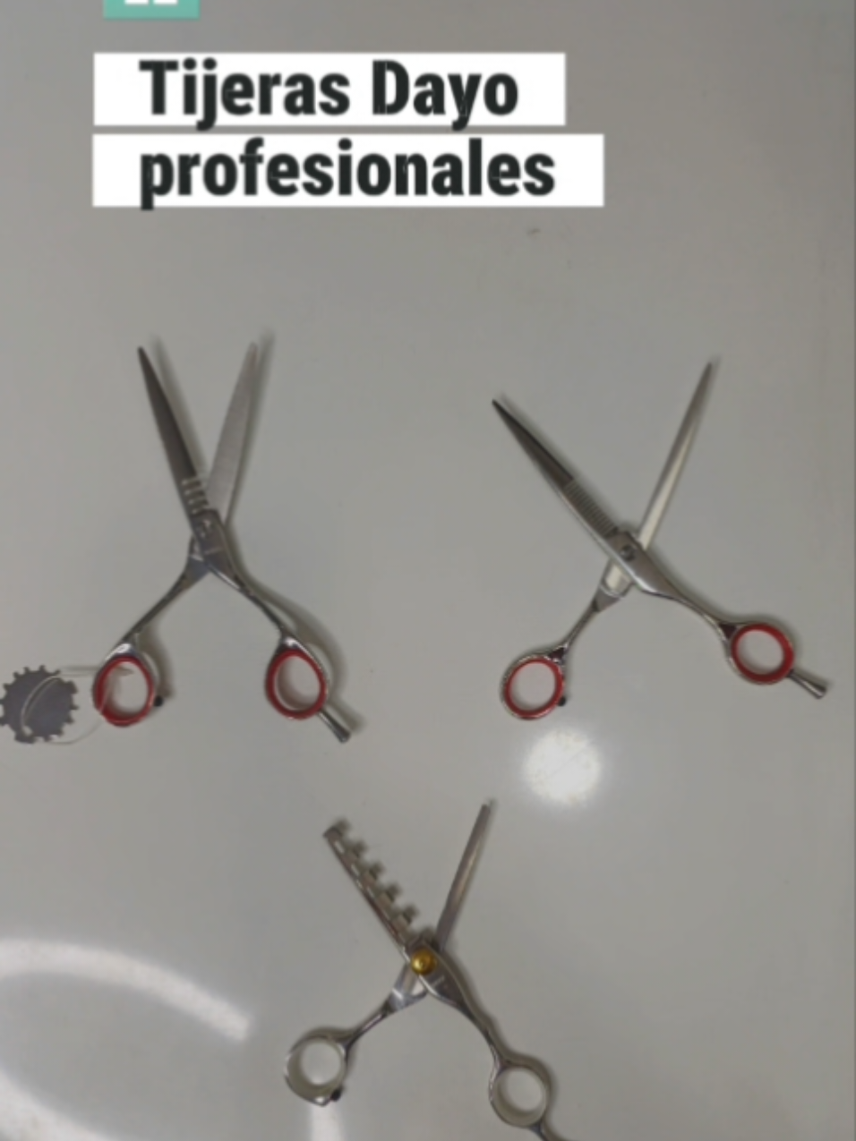 @Michelle Internacional SRL