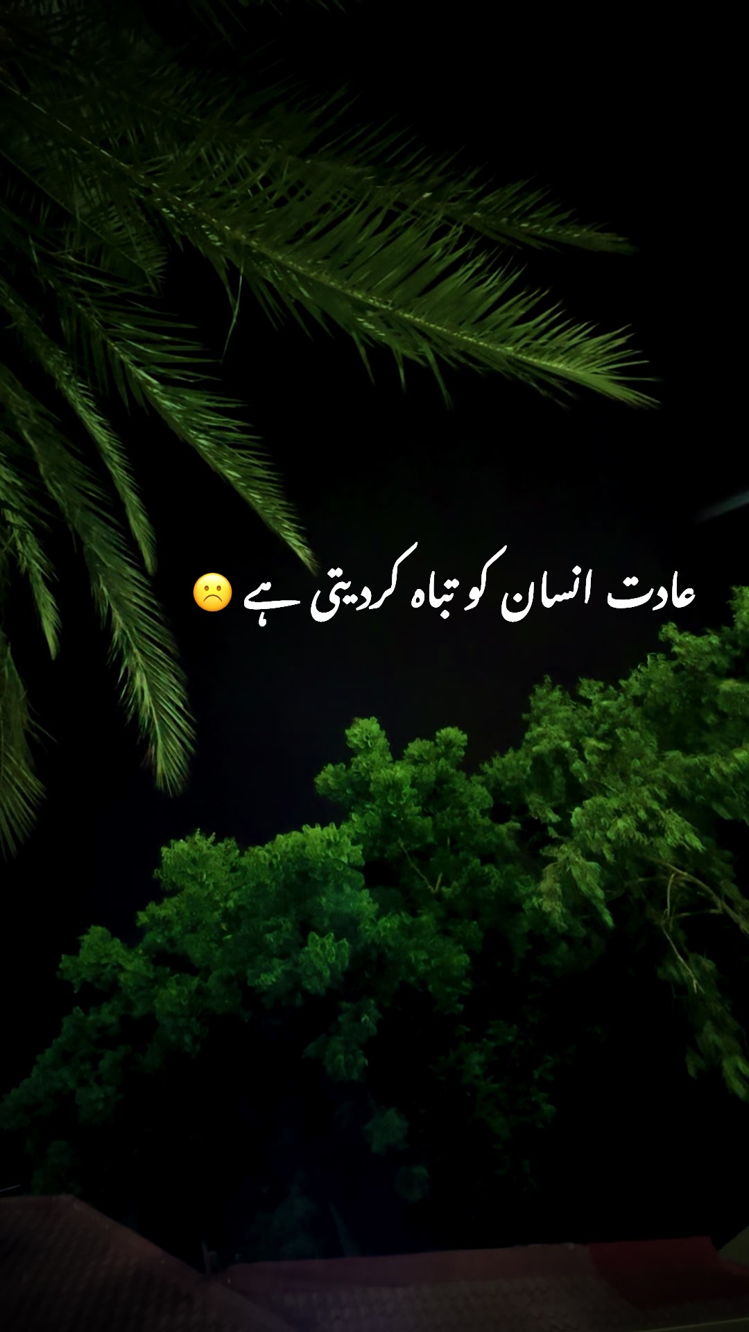 @𝒐𝒚𝒆_Zubii🐺