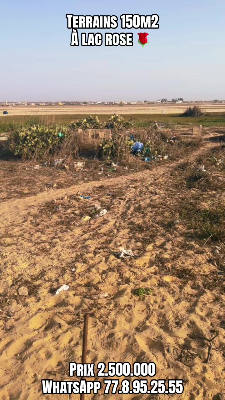 @Sénégal dakar habitat 🇸🇳