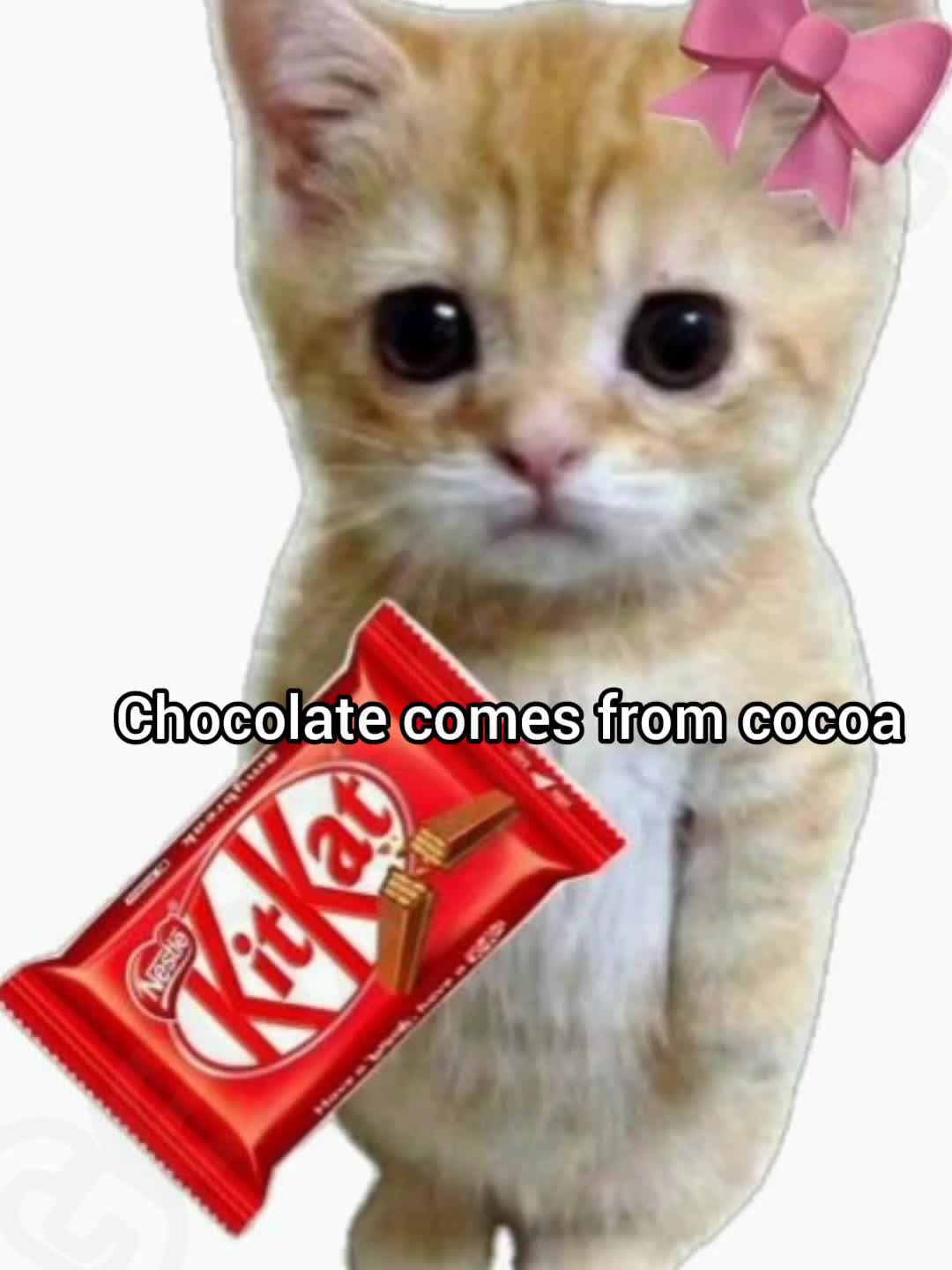@Georgiee BOM