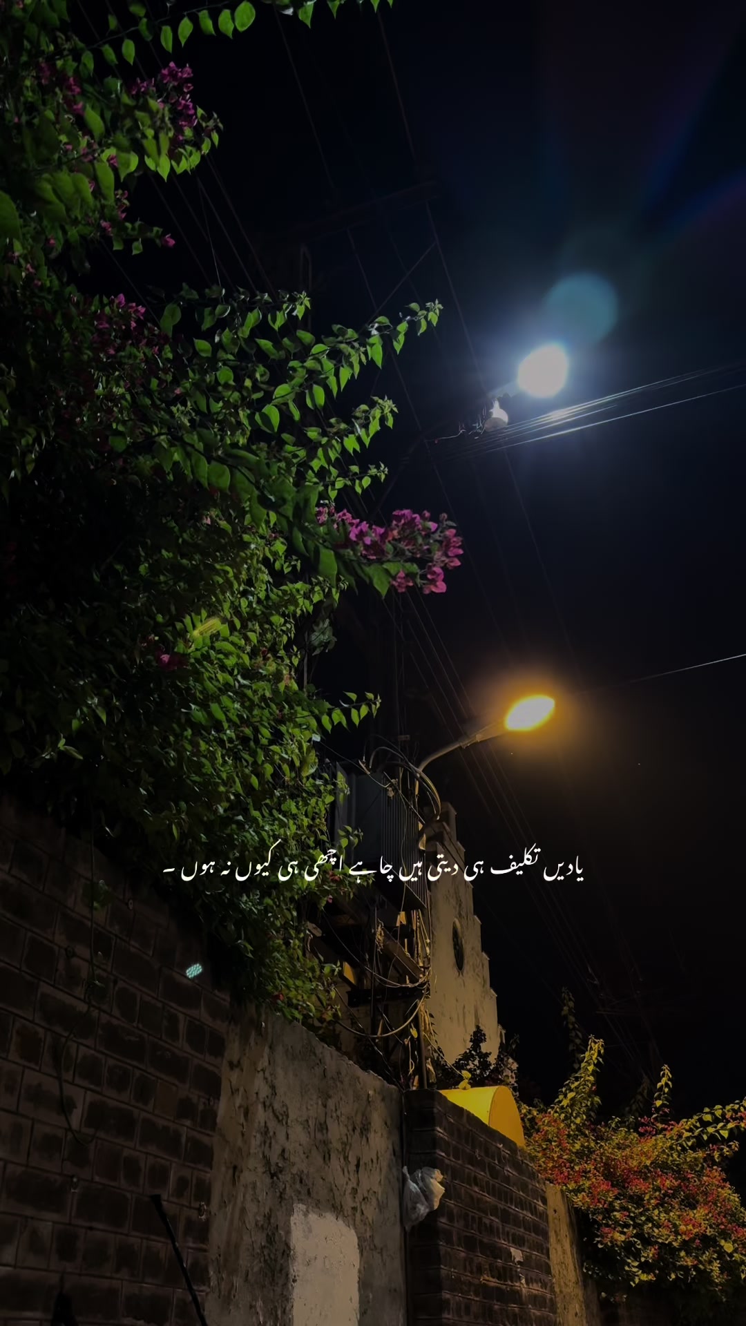 @کمیل🚩