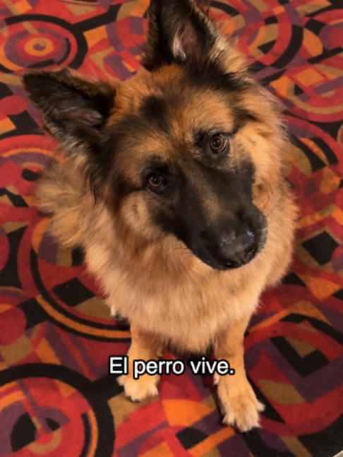 @Paramount M&eacute;xico