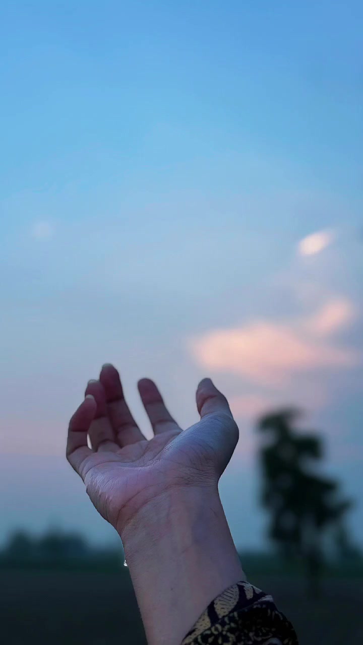@softvibes🌸💫