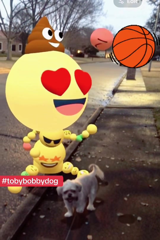 @Tobybobbydog