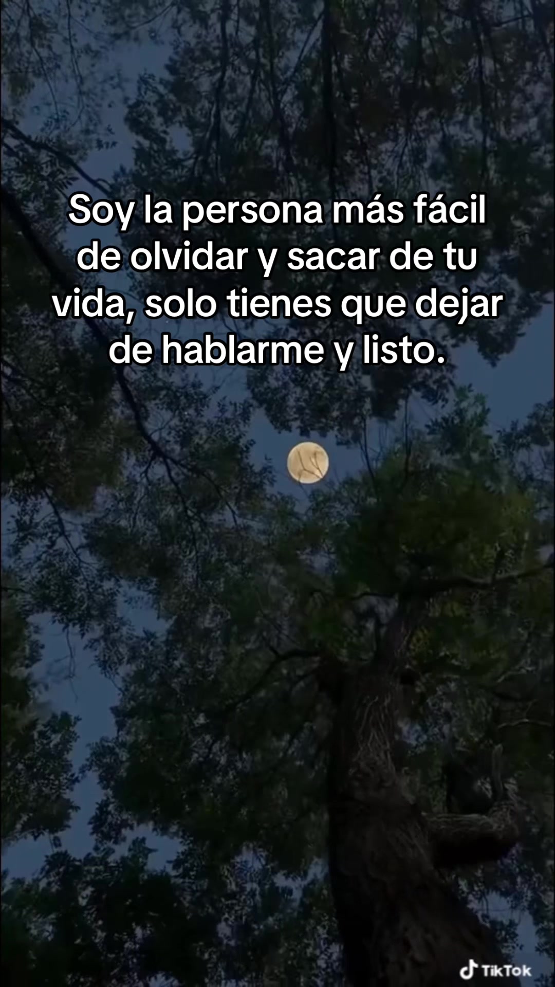 @️Javi López