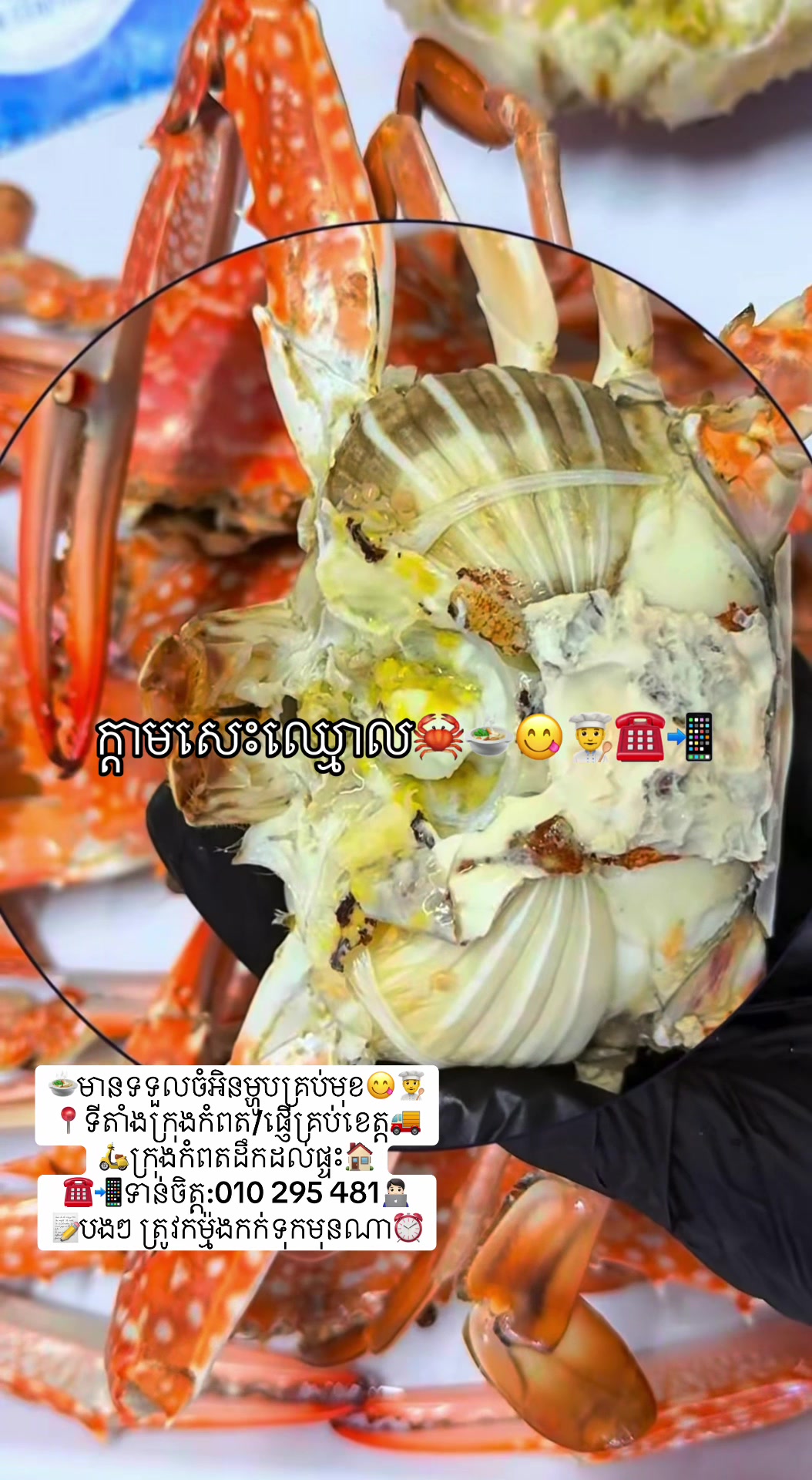 @កំពតគ្រឿងសមុទ្រ