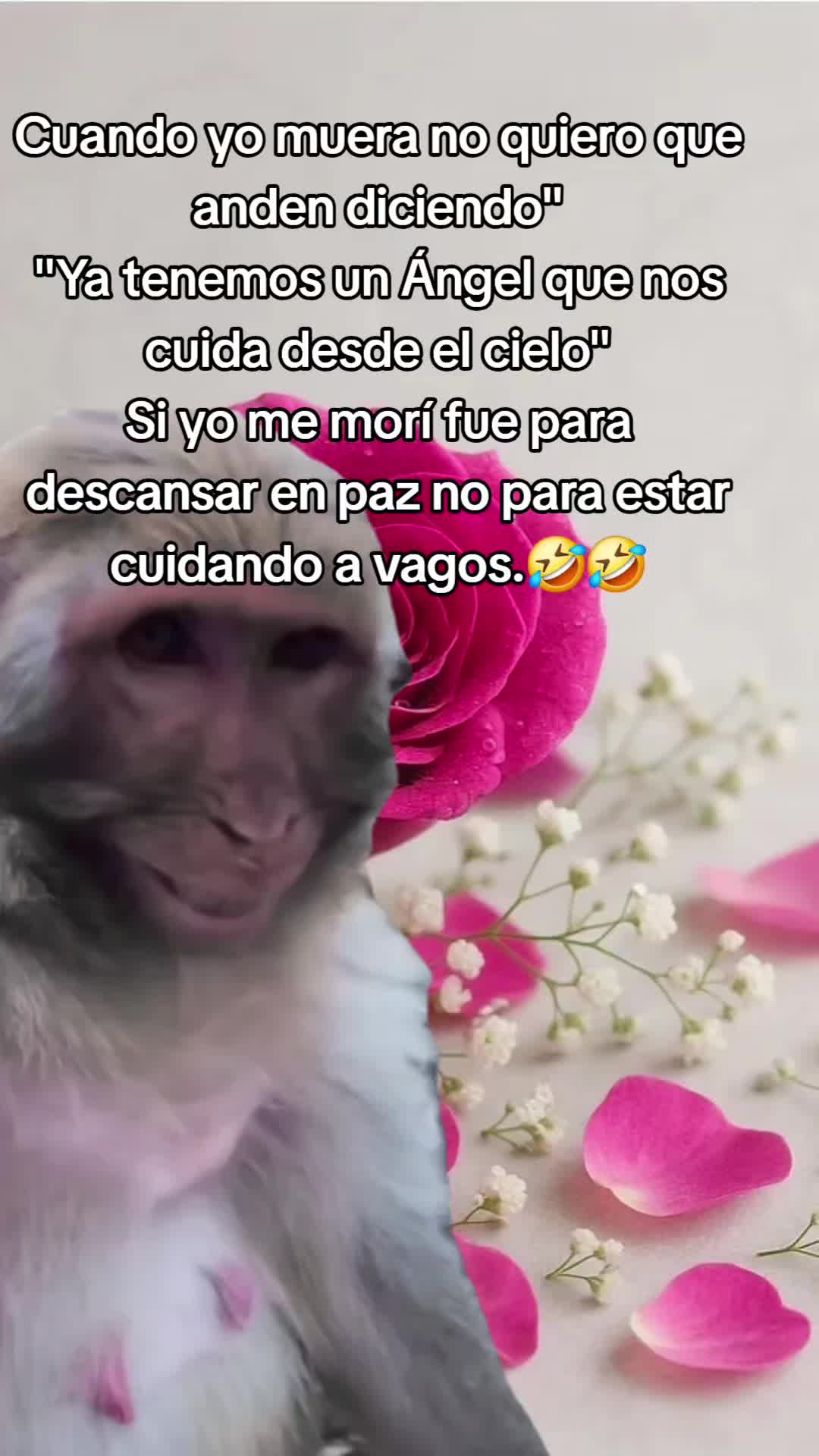 @ingridm