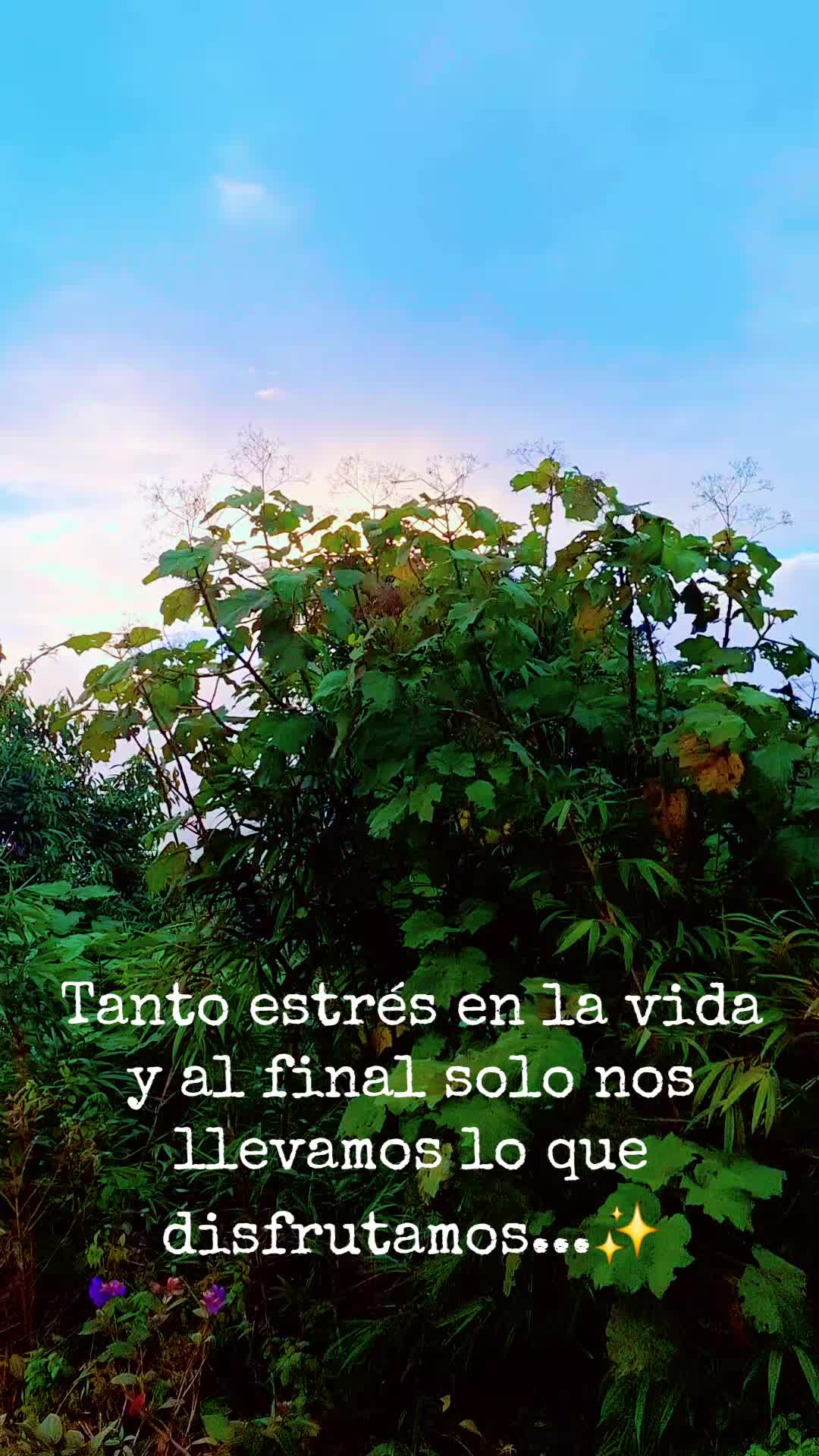 @San Arias 🦋