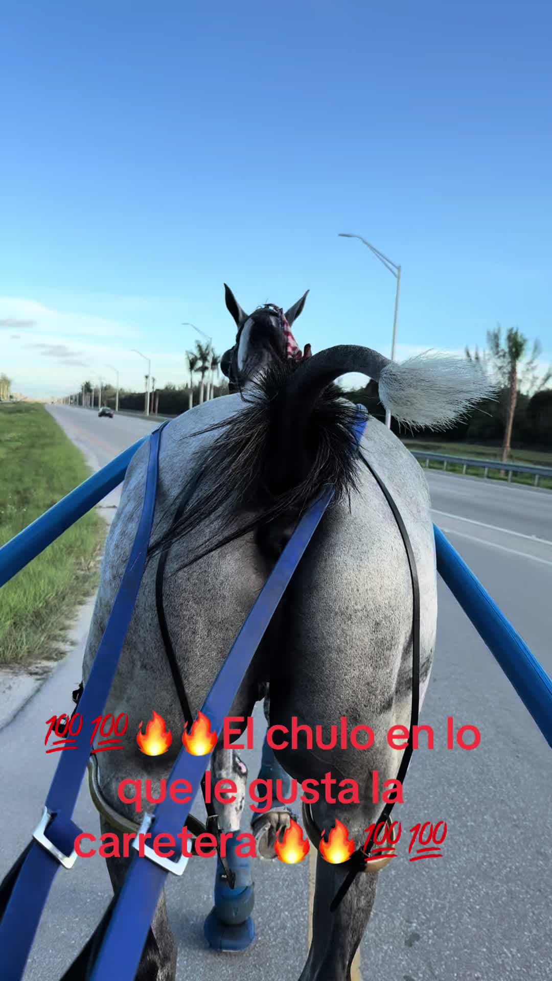 @🔥🔥❤️EL FEO ❤️🔥🔥