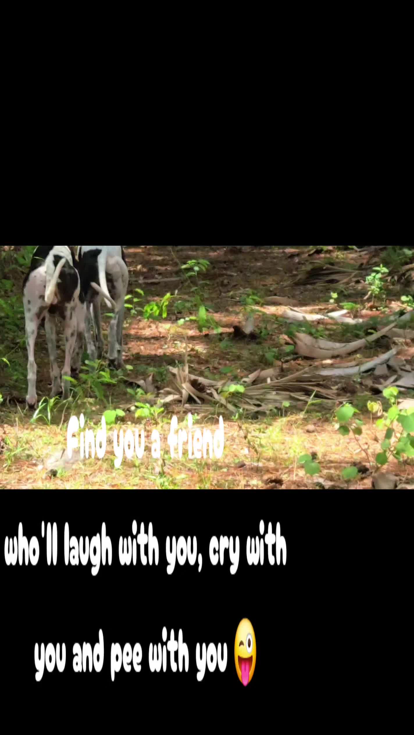 @BeniTheRetiredRacer