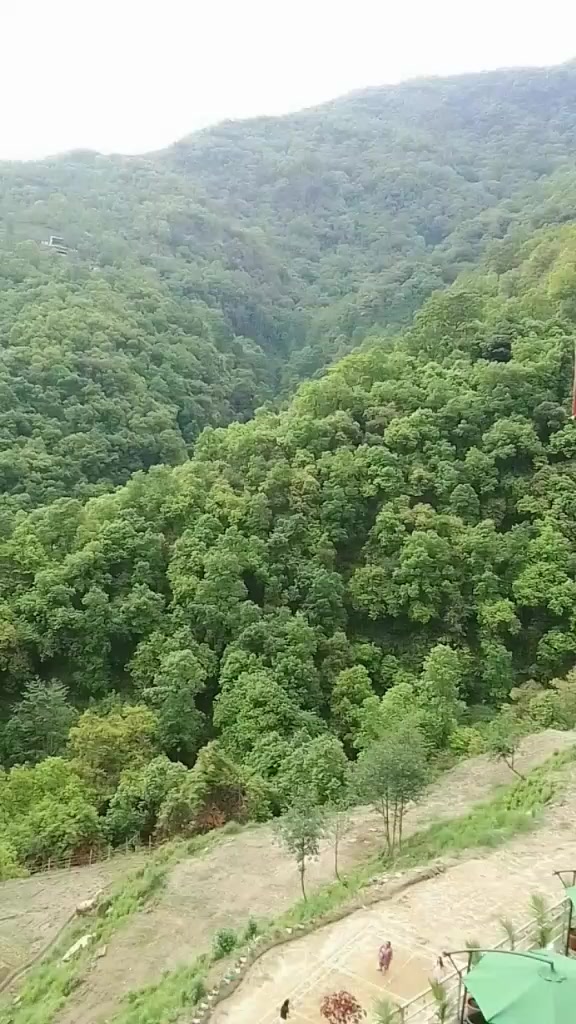 @Purna Khadka