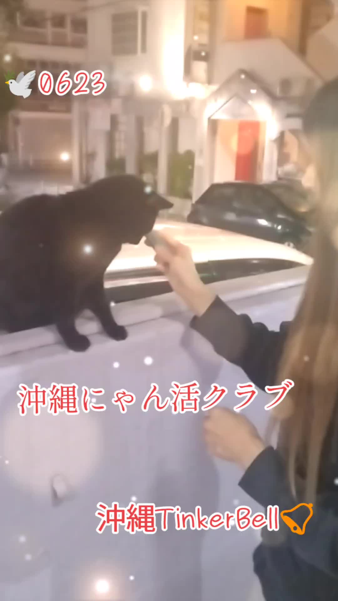 @沖縄セクキャバティンカーベル