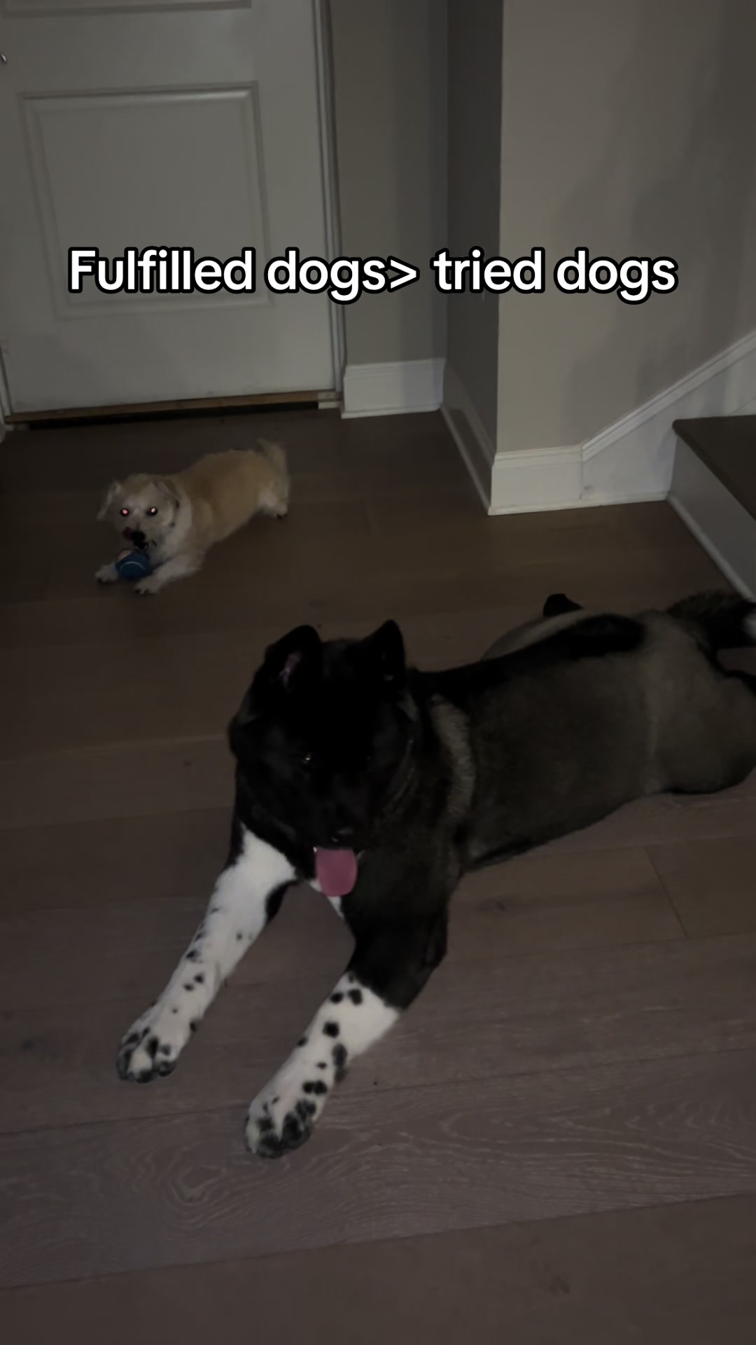 @tailsssss_