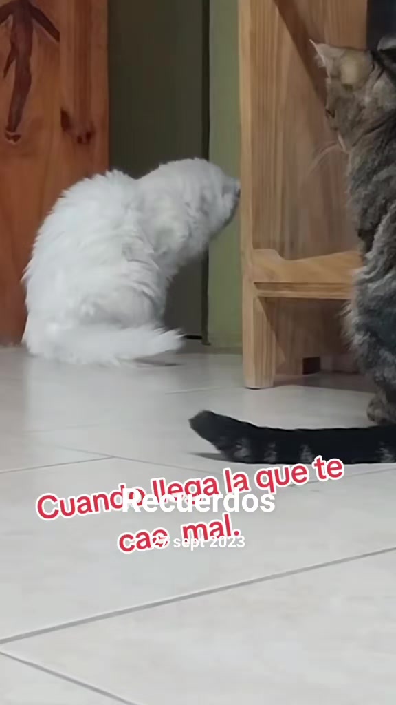 @cariadevans