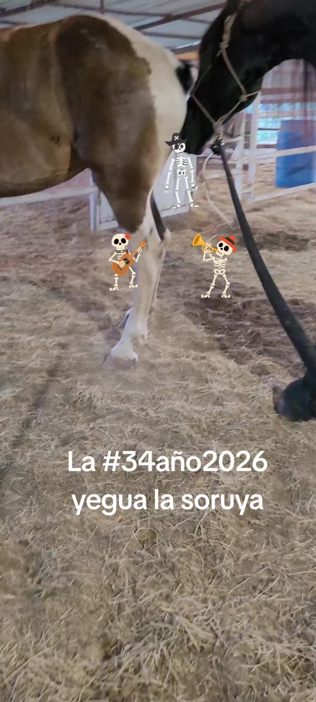 @RANCHOROSAS
