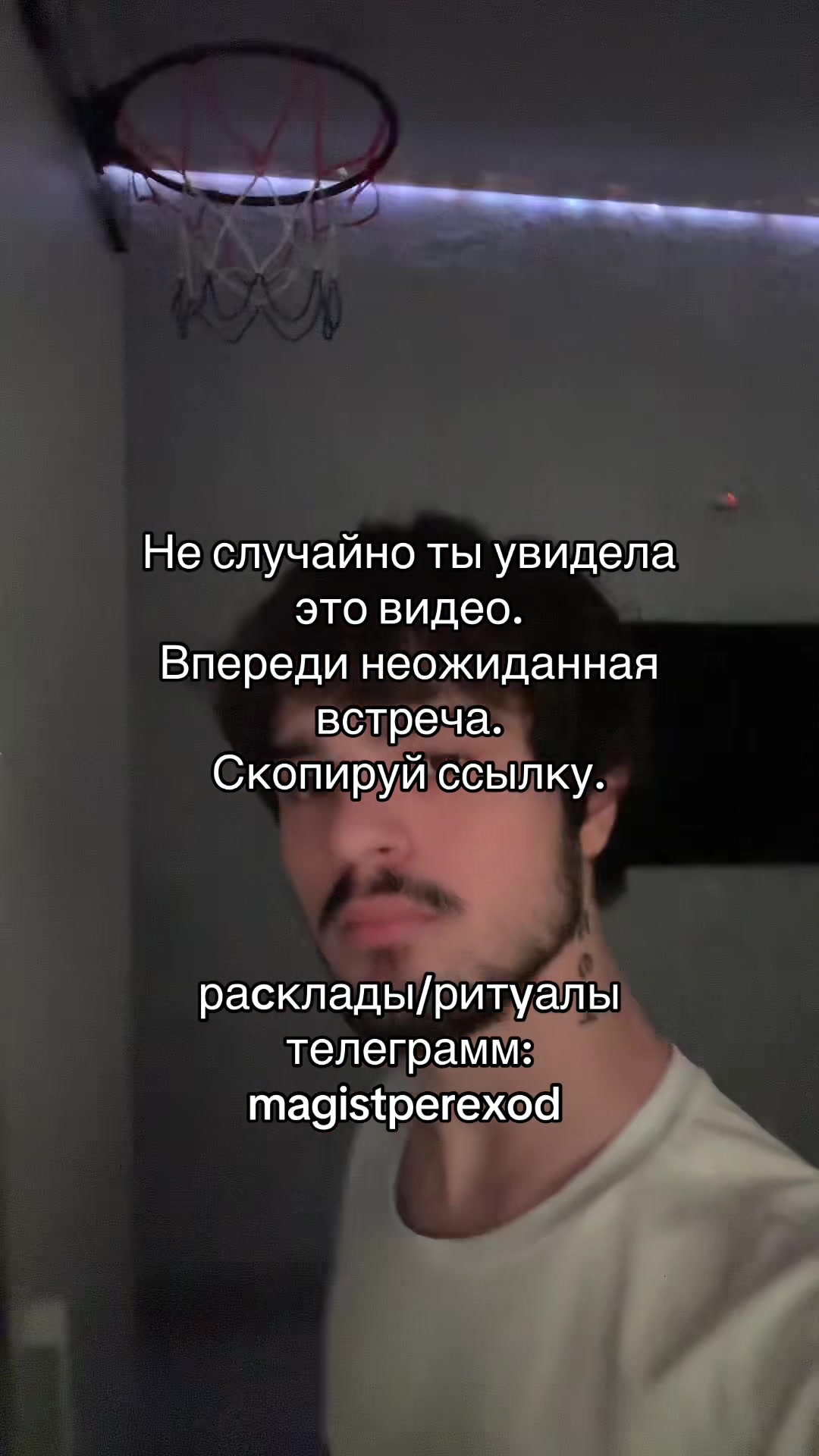 @Тг➜ magistperexod
