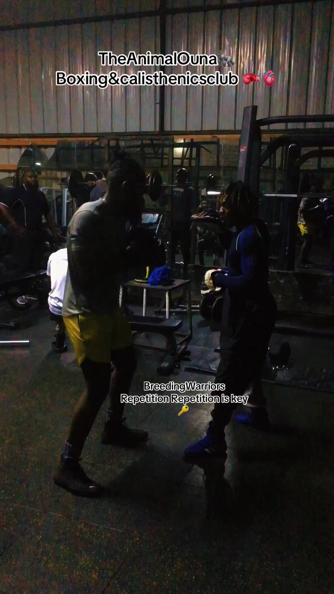 @TheAnimalOuna🦍&hellip;