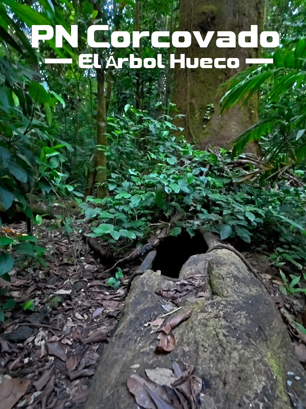 @Senderismo CR | Tours & Nature