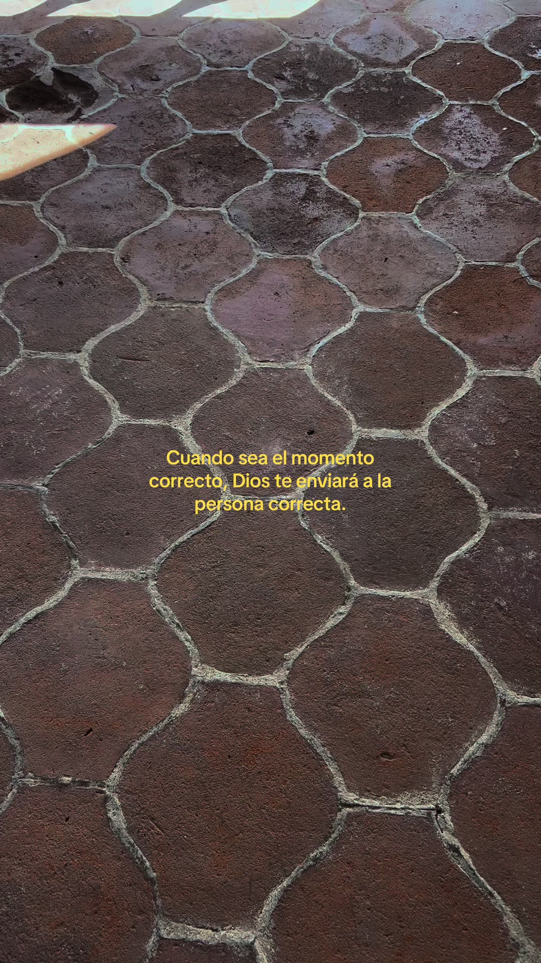 @🤍