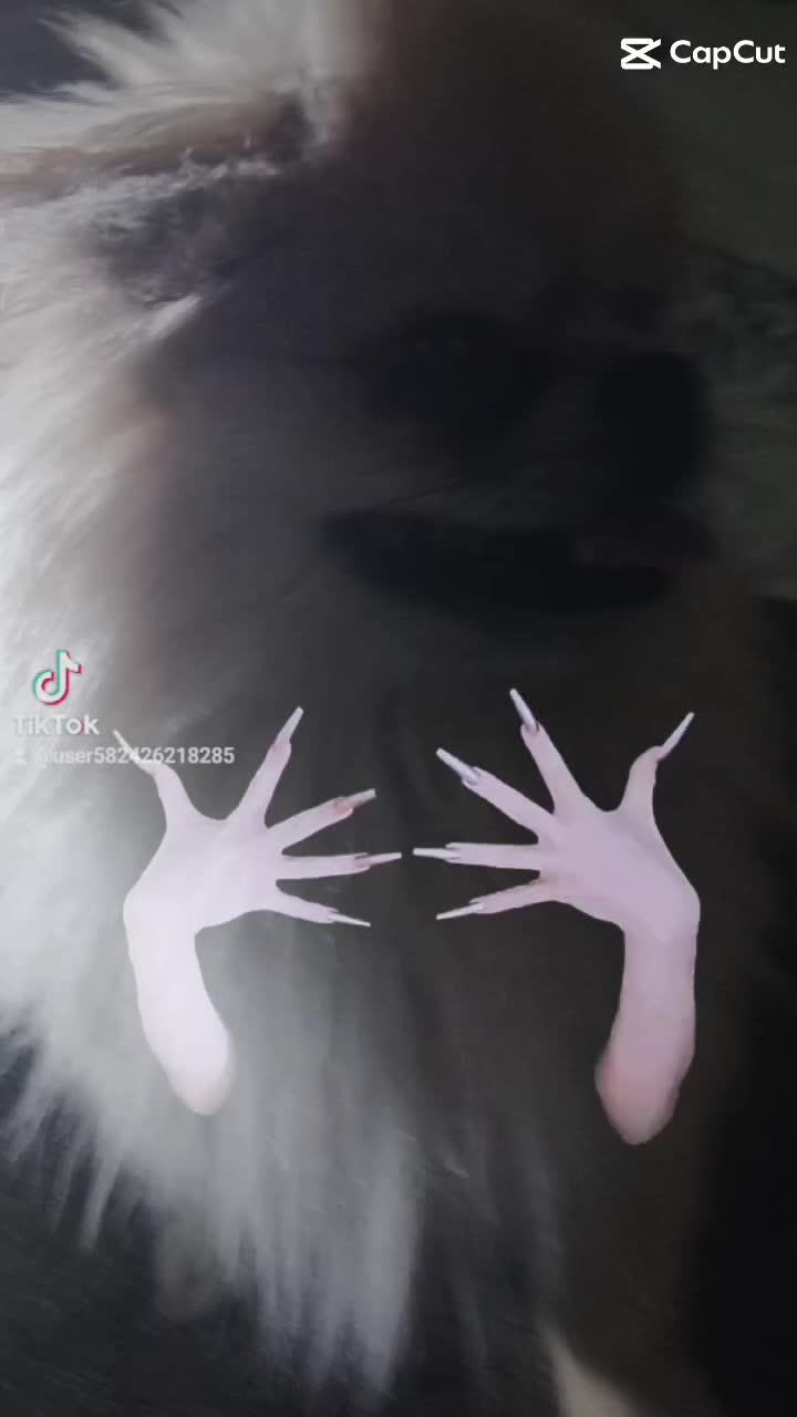 @Алиса