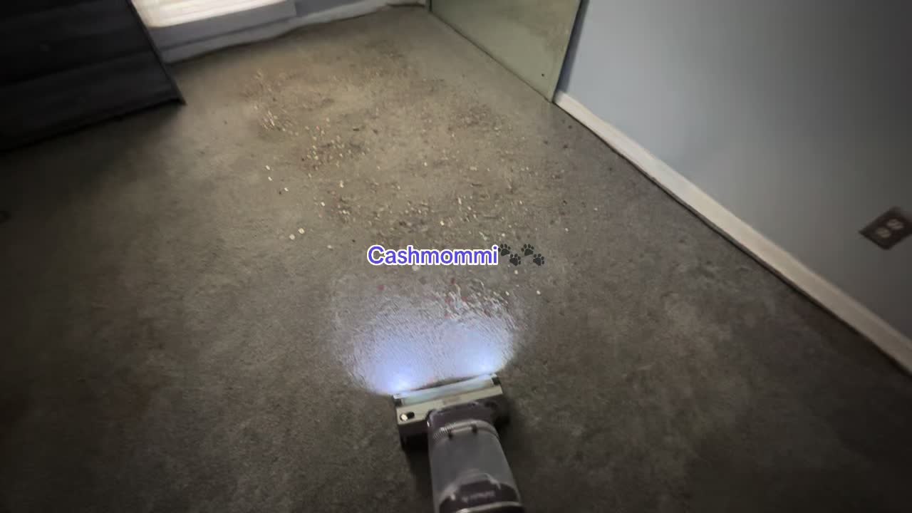 @CashmommiVacs