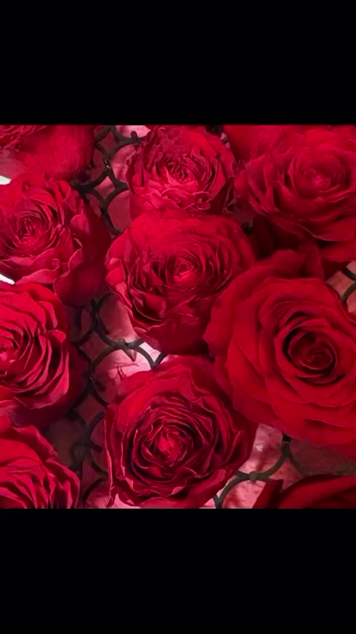 @lapislazuli19721112