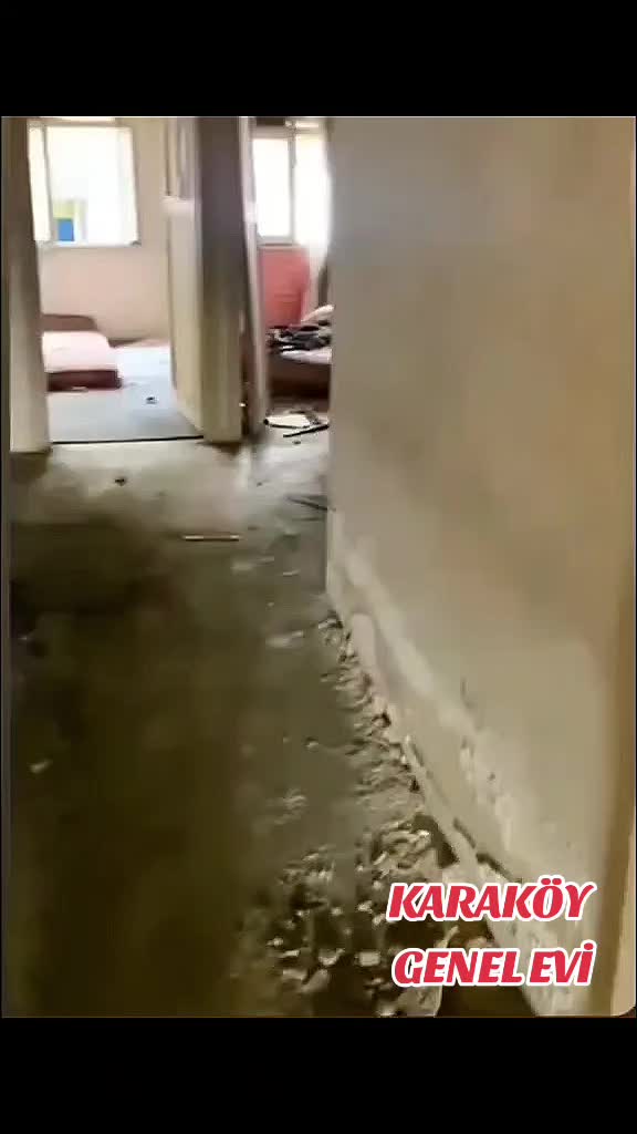 @ŞENOL