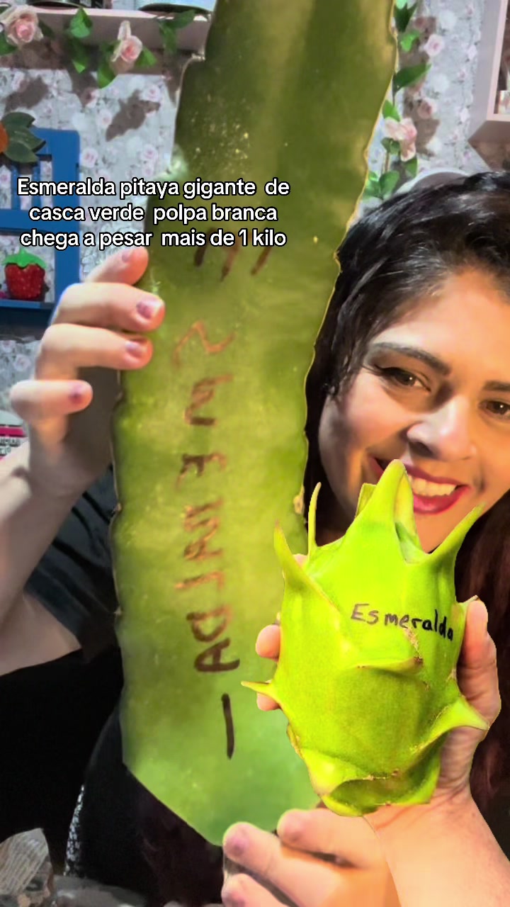 @Rainha da pitaya 🌵👑