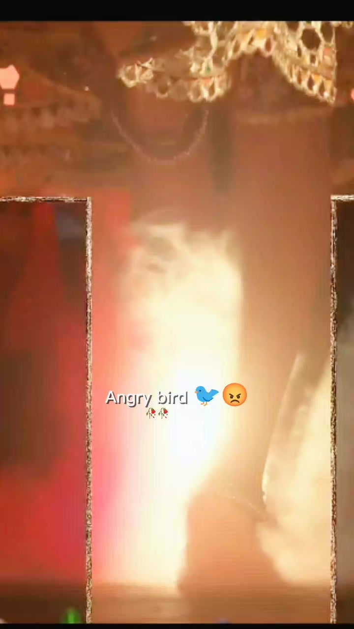 @💫𝖆𝖓𝖌𝖗𝖞 𝖇𝖎𝖗𝖉𝖘💫💥
