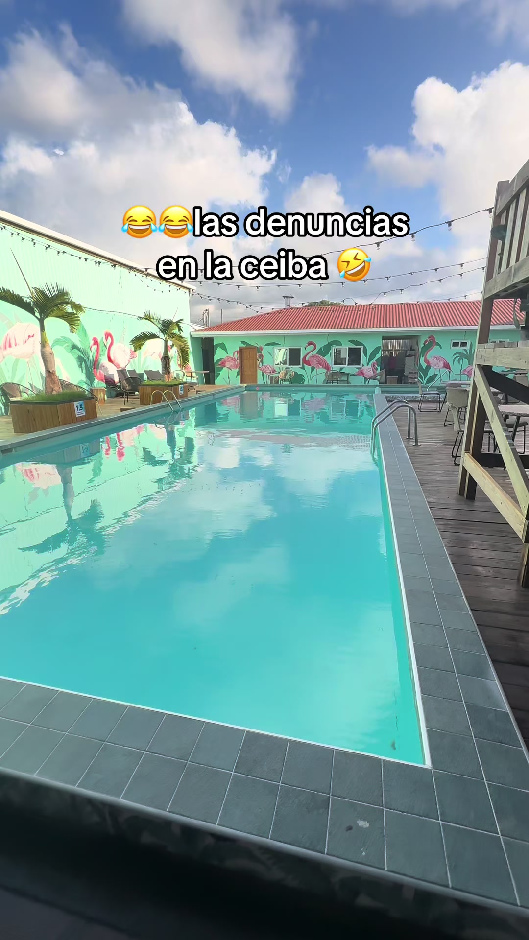 @andreamunguia00🐶