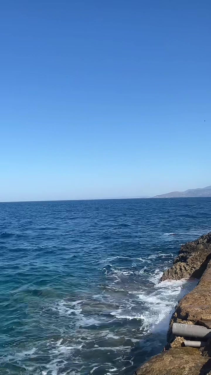 @tayaya