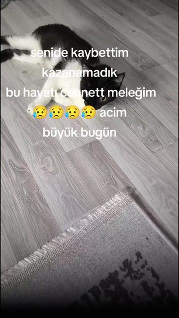 @yagmur