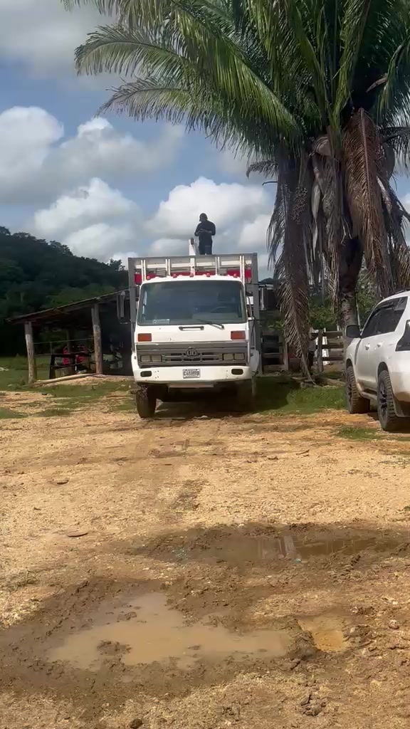 @Alex González🤠38