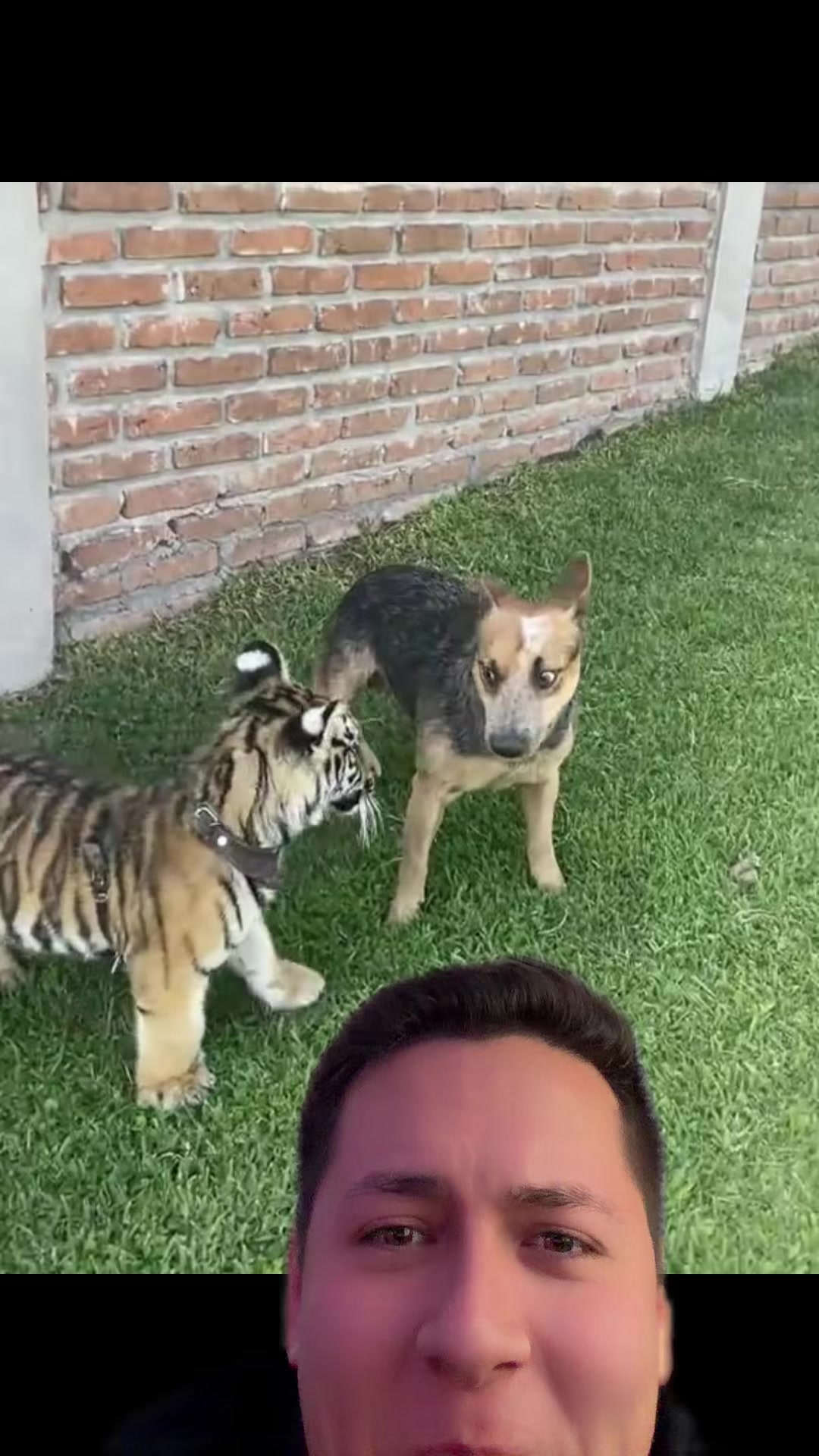 @Antonyviews⚡️