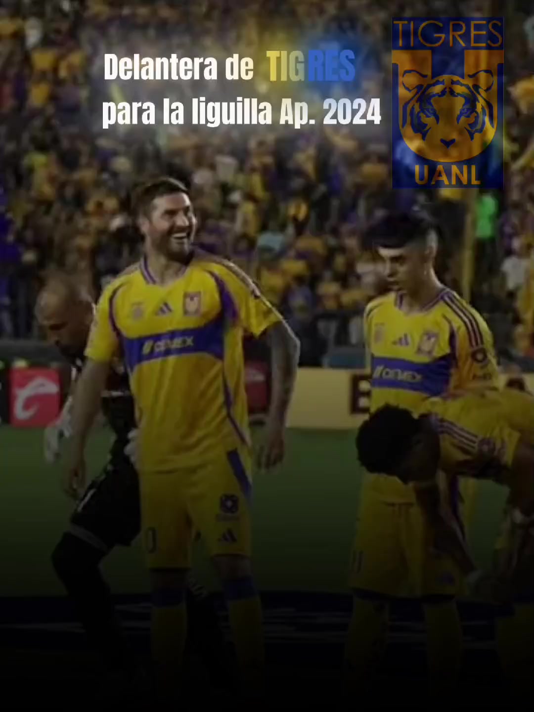 @𝗧𝗜𝗚𝗥𝗘.𝗠𝗧𝗭