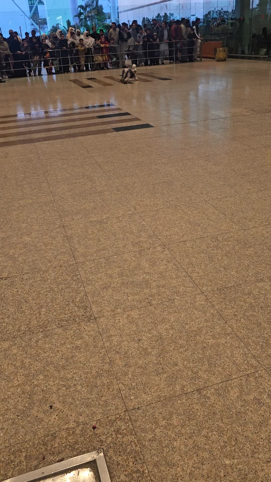 @NAIMAT ORAKZAI