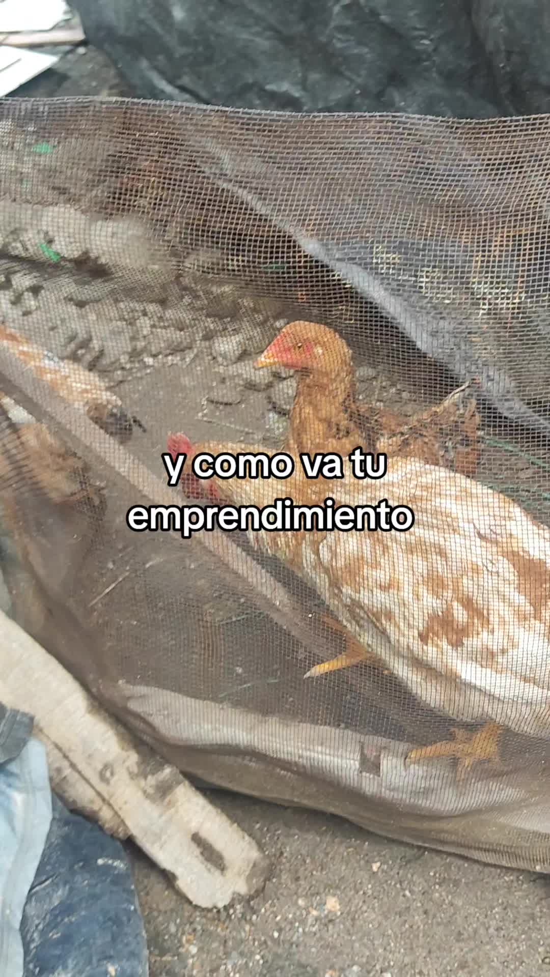@John F