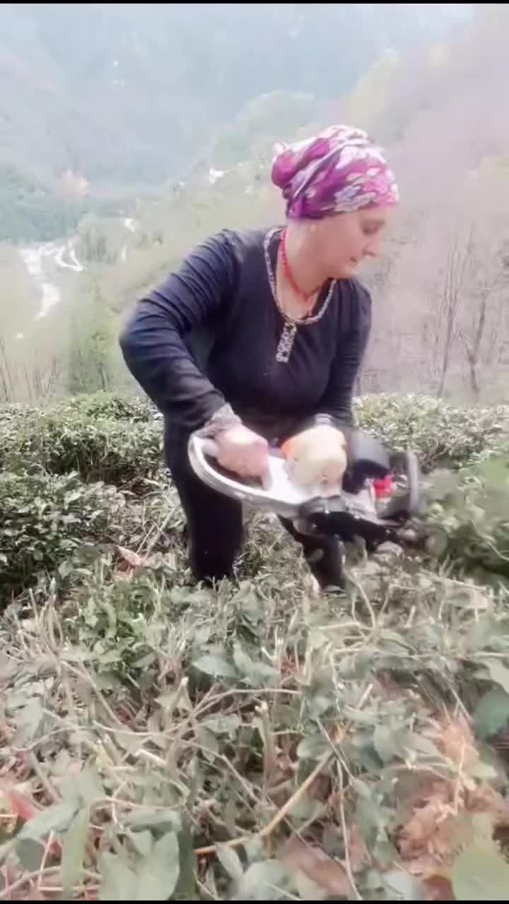 @emine53