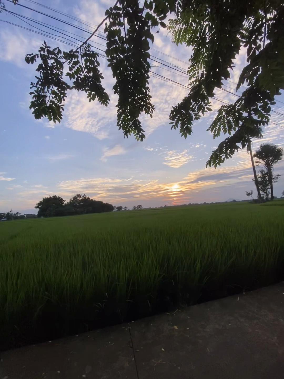 @sunlitsanctuary
