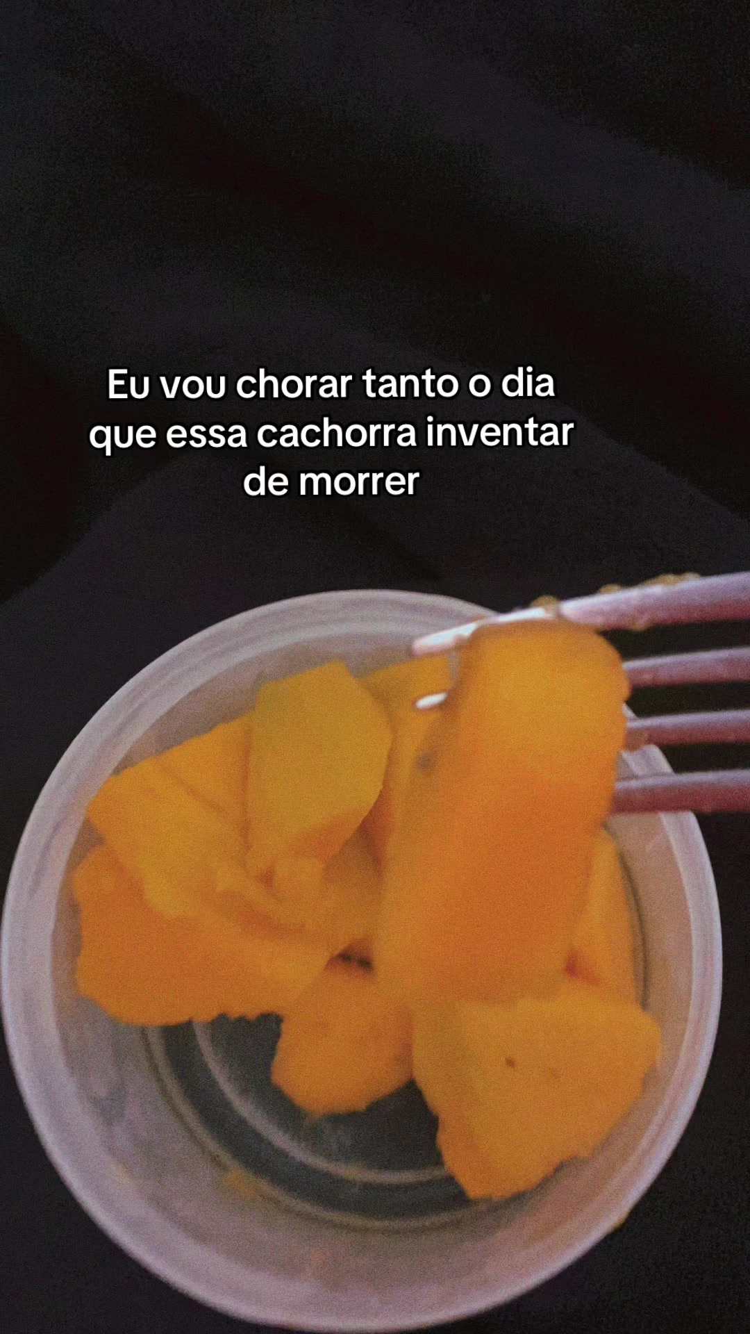 @katillabraga           ࿐