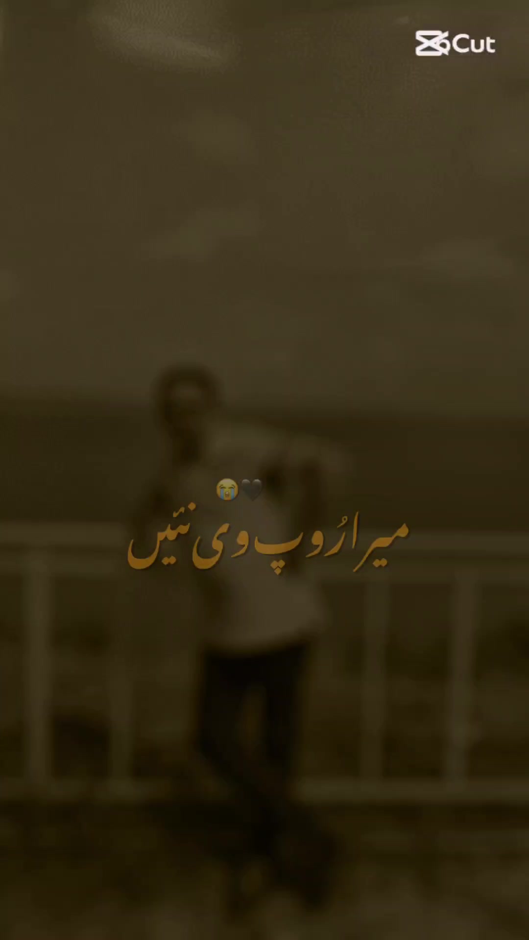 @sabeeh