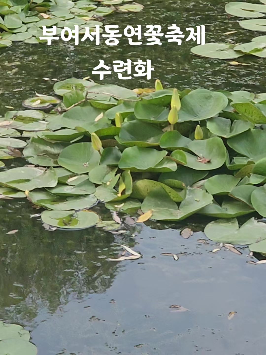 @李 在 昇 ＼(^_^)／