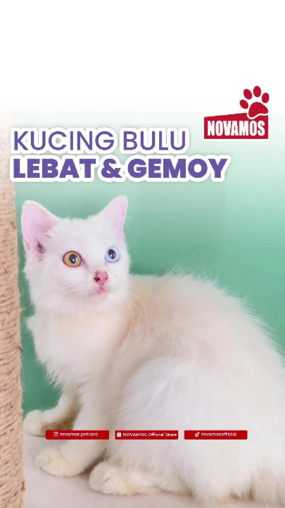 @Novamos Official Store